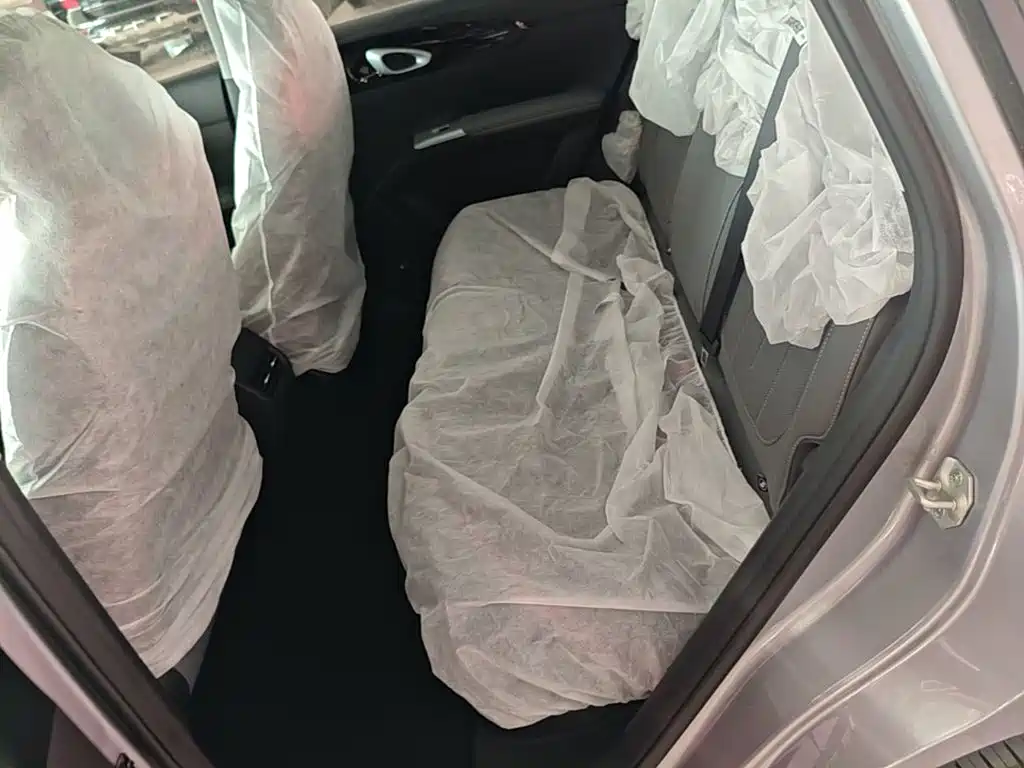 Geely Galaxy Starry Wish 2026 2026 Model 310km Dream Edition