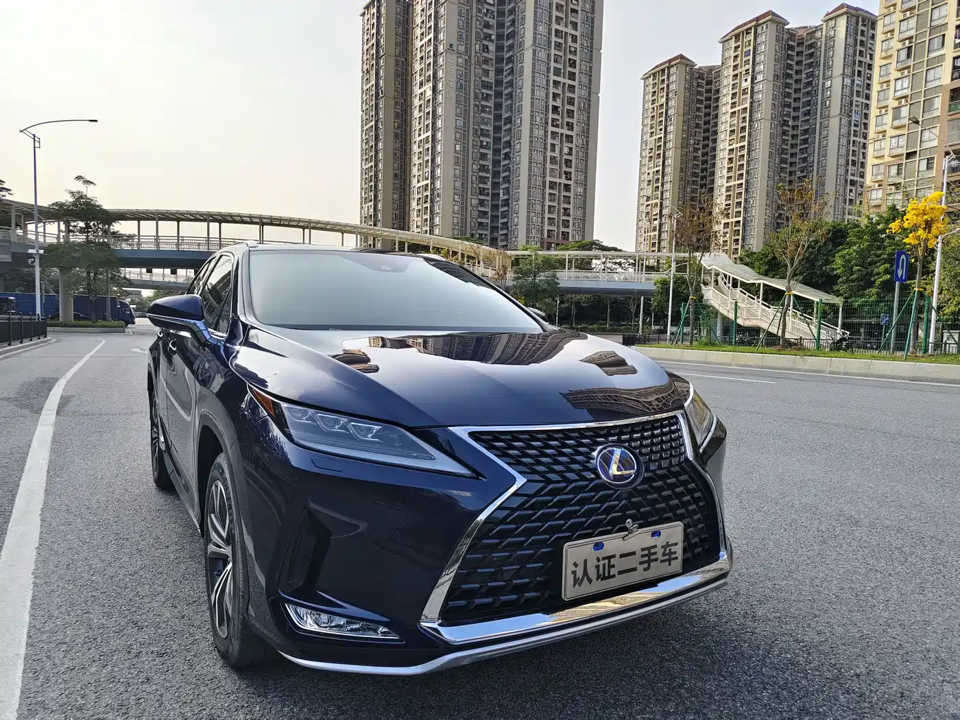 LEXUS RX