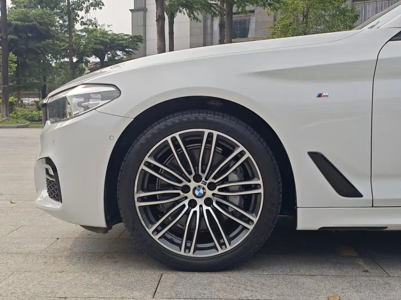 BMW 5 Series 2019 530Li Leading M Sport Package фото 10