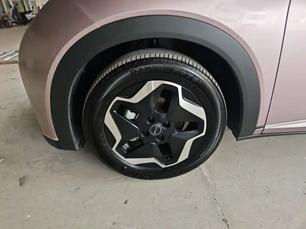 BYD Dolphin 2022 2021 Model 405km Fashion Edition