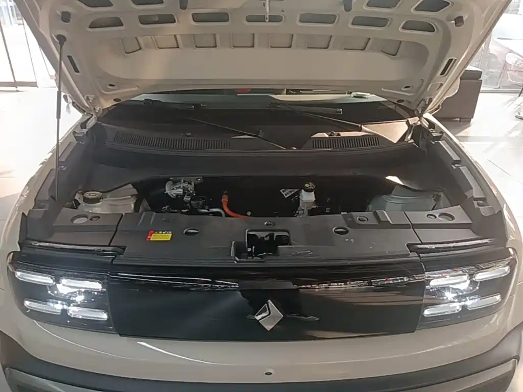 Baojun Yueye Plus 2026 2026 301km Flagship