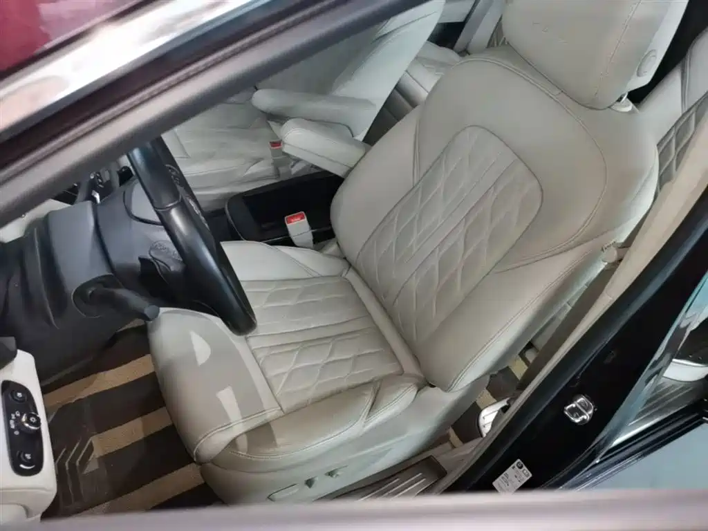 Buick GL8 2017 28T Avenir China V фото 15