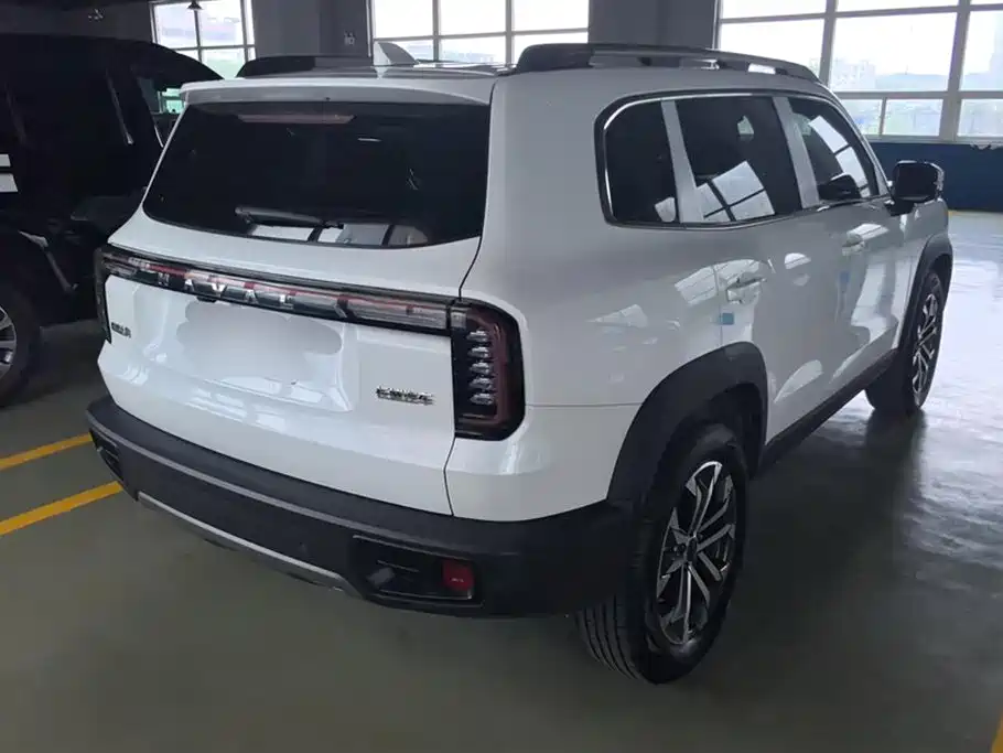 Haval Big Dog 2024 1.5T DCT Border Collie Edition фото 3