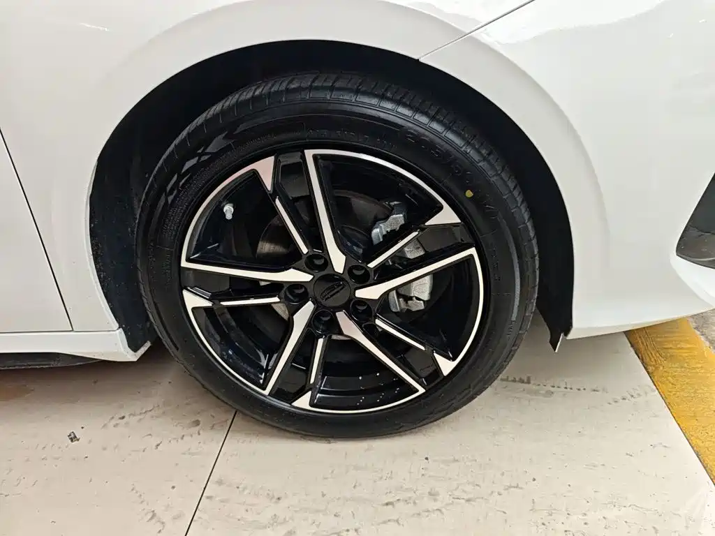 Фото 23 - Geely Binrui