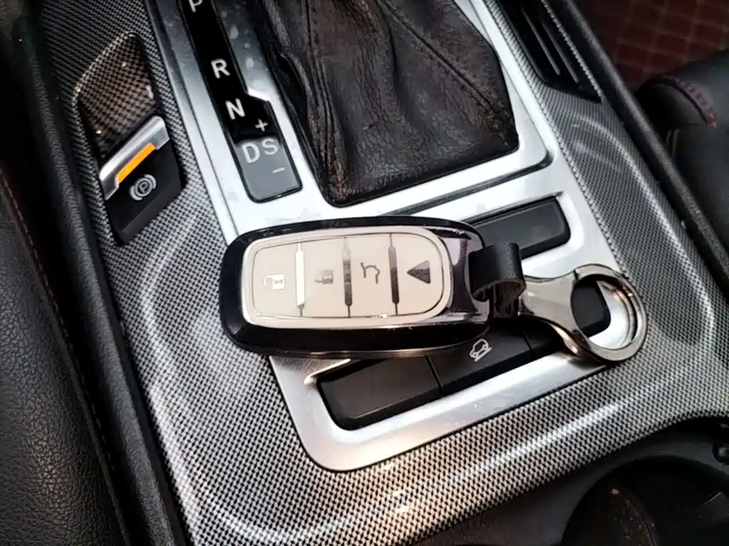 Changan CS55 2019 2018 1.5T Automatic Chromatic China V