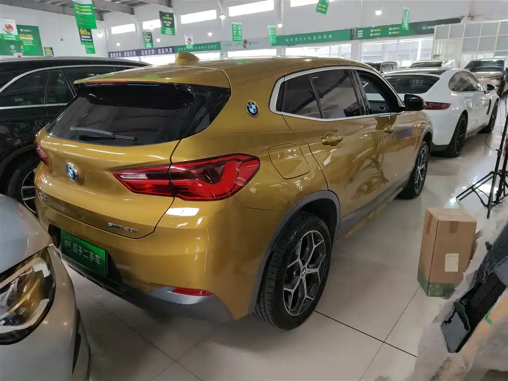 BMW X2 (Import) 2019 sDrive20i M Off-Road Package China VI фото 7