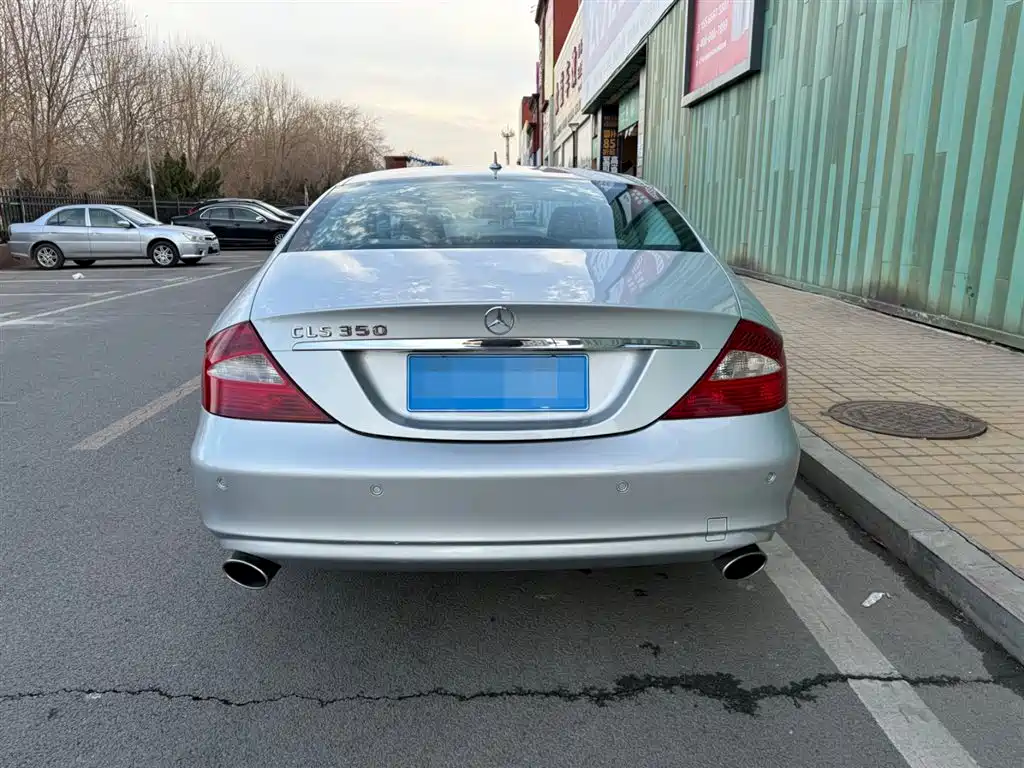 Mercedes-Benz CLS 2008 CLS 350 фото 11