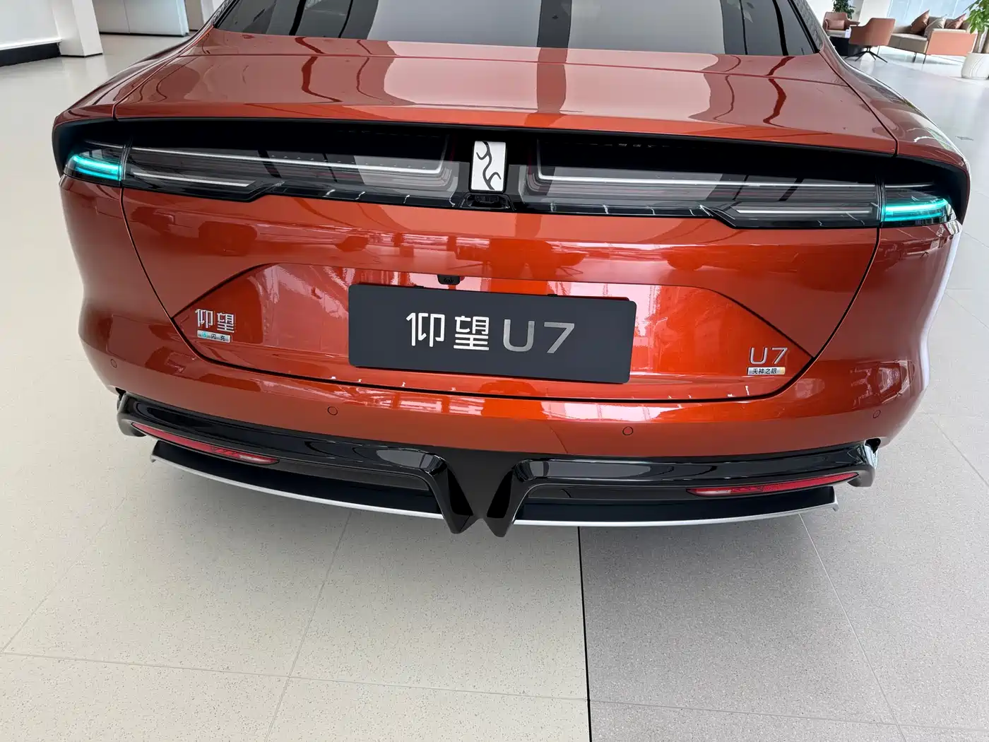 Yangwang U7 2026 PHEV 5-seater Luxury Edition фото 12