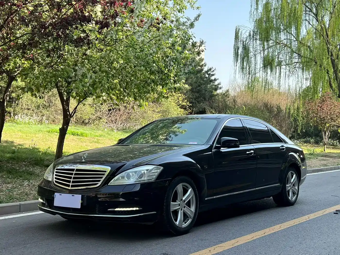 Mercedes-Benz S-Class 2010 S 300 L Luxury