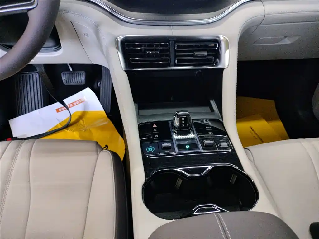 BYD Song PLUS PHEV 2025 DM-i 112KM Premium фото 10