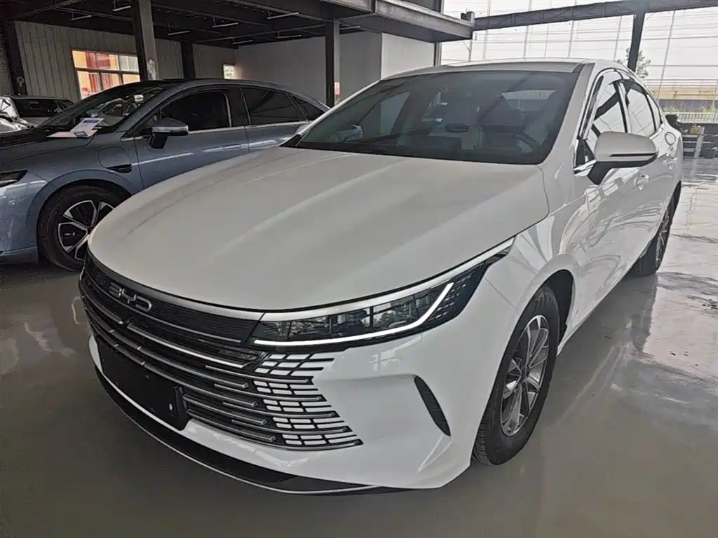 BYD Destroyer 05 2024 Glory Edition DM-i 55KM Luxury фото 2