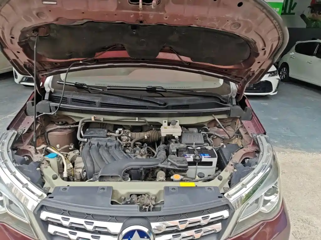 Venucia M50V 2018 2017 1.6L XL CVT Luxury