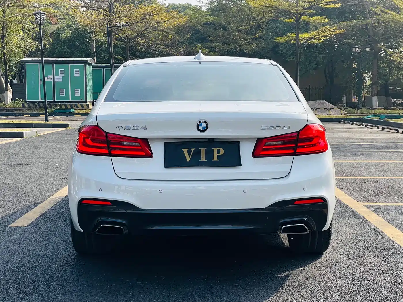 BMW 5 Series 2020 530Li Leading M Sport Package фото 5