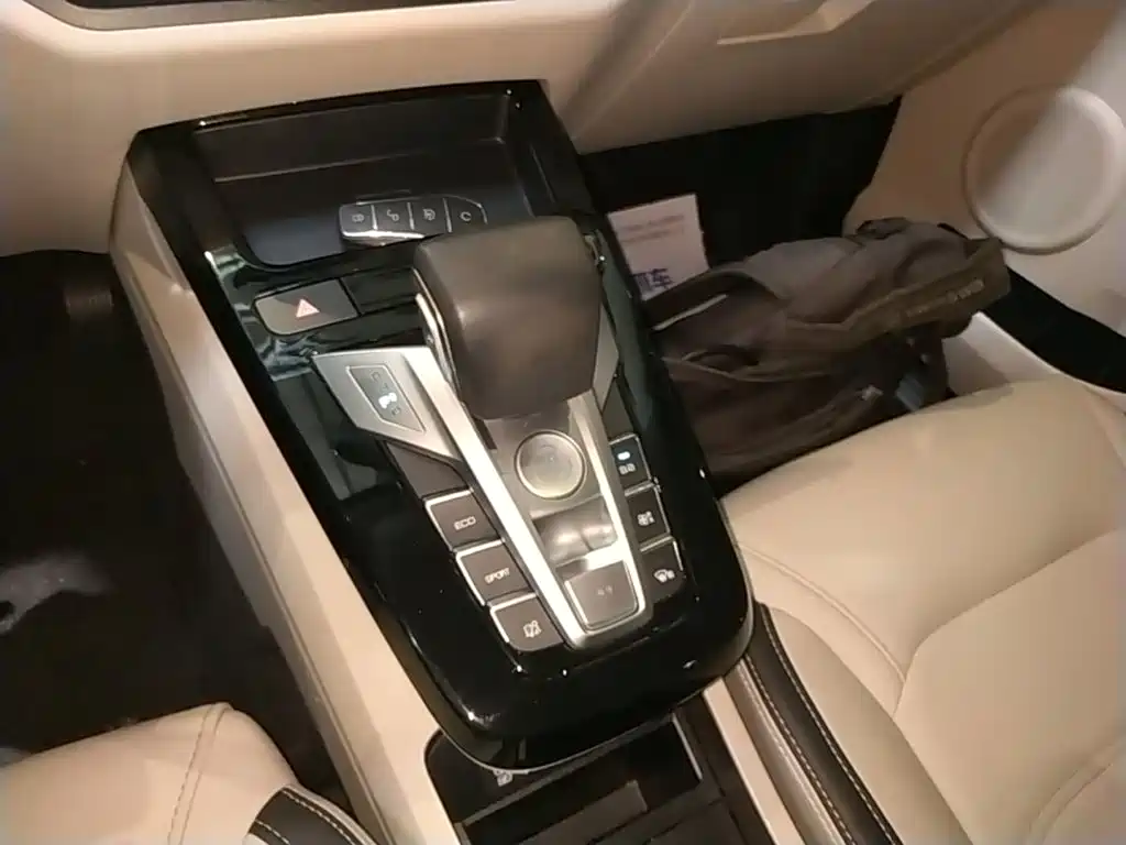BYD Yuan Pro 2021 2021 401KM Luxury Model