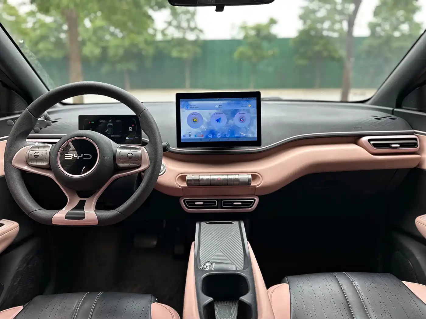 BYD Seagull 2024 Glory Edition 305km Vitality Edition фото 5