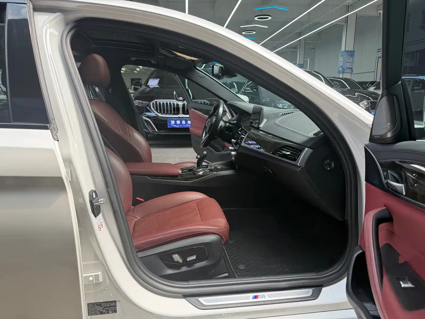 BMW 5 Series 2019 530Li Leading M Sport Package фото 15