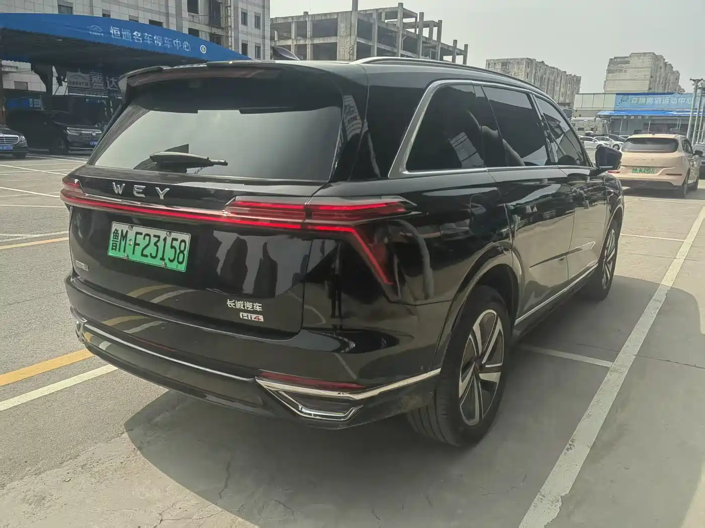 WEI PAI WEI BRAND BLUE MOUNTAIN