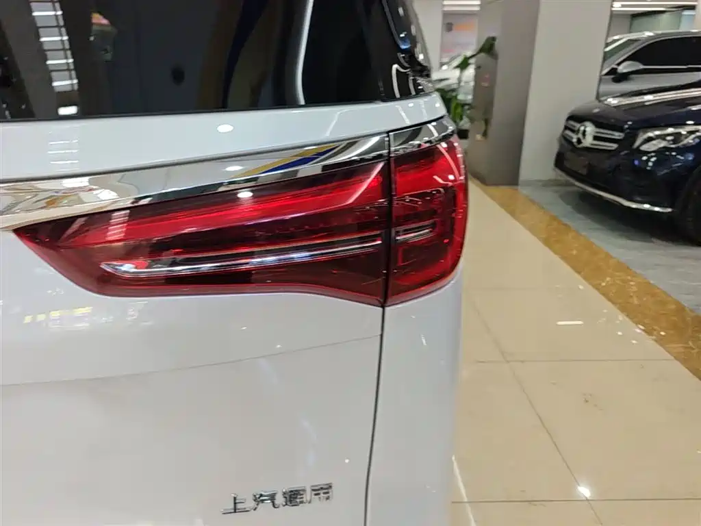 Buick GL8 2022 ES Landmark 653T Premium фото 8