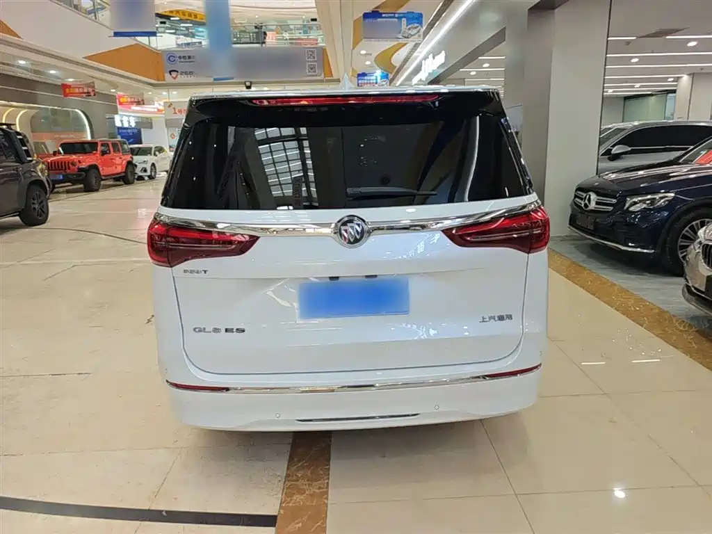 Buick GL8 2022 ES Landmark 653T Premium фото 6
