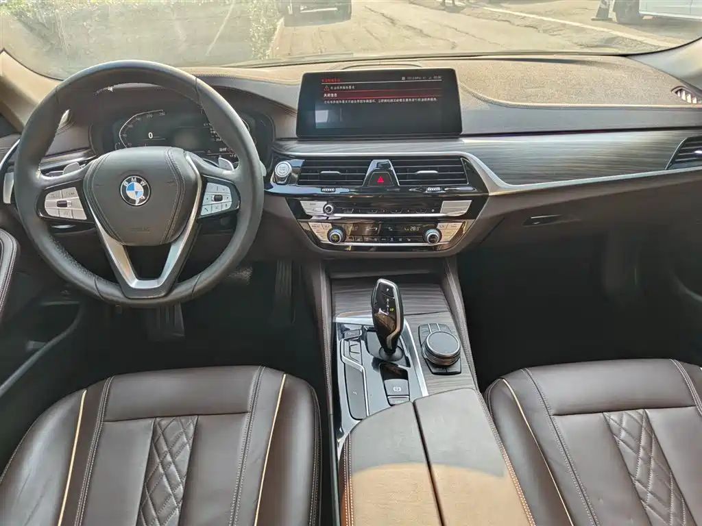 BMW 5 Series 2020 530Li Leading Luxury Package фото 10