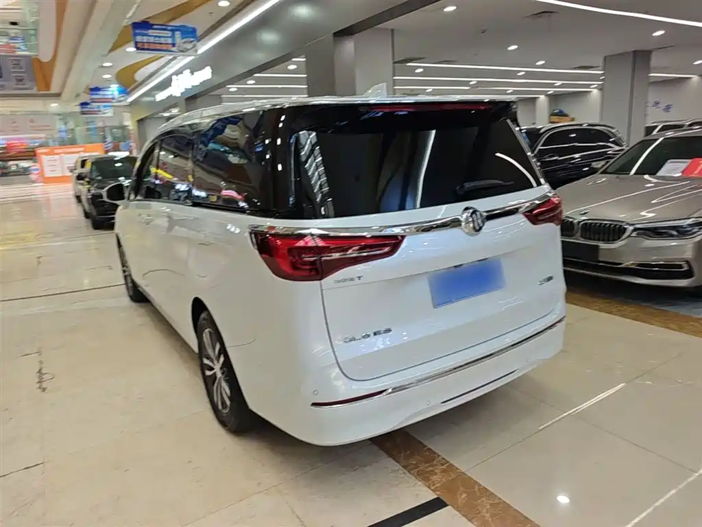 Buick GL8 2022 ES Landmark 653T Premium фото 5