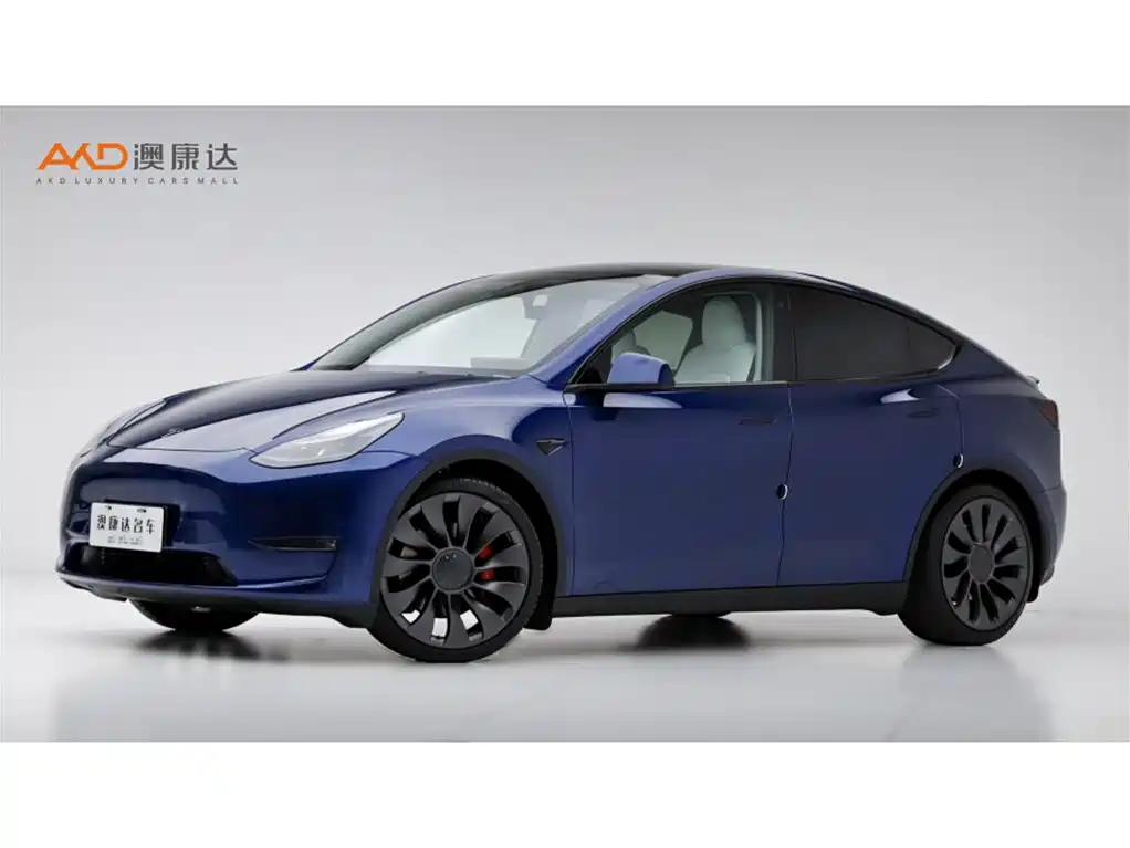 TESLA MODEL Y