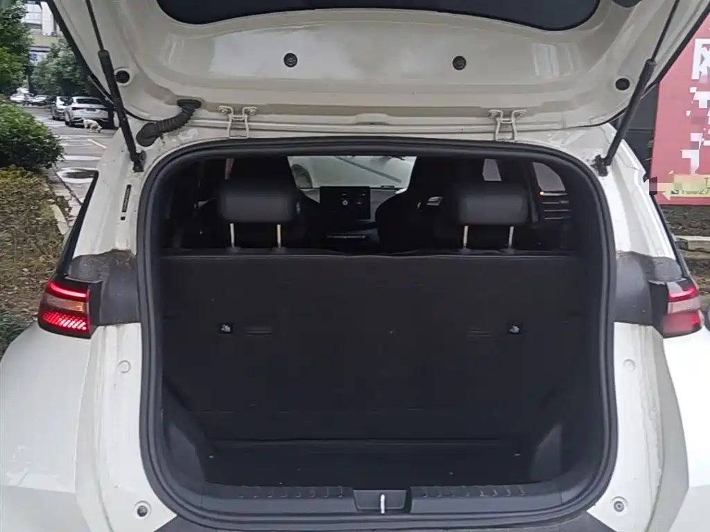 BYD Seagull 2023 Freedom Edition фото 19