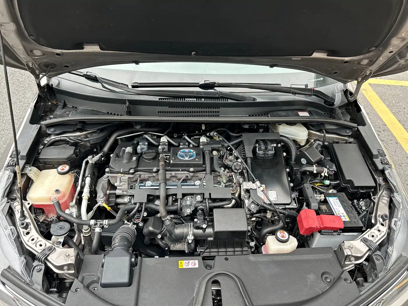 Toyota Corolla 2019 Hybrid 1.8L E-CVT GL-i Elite Edition фото 50