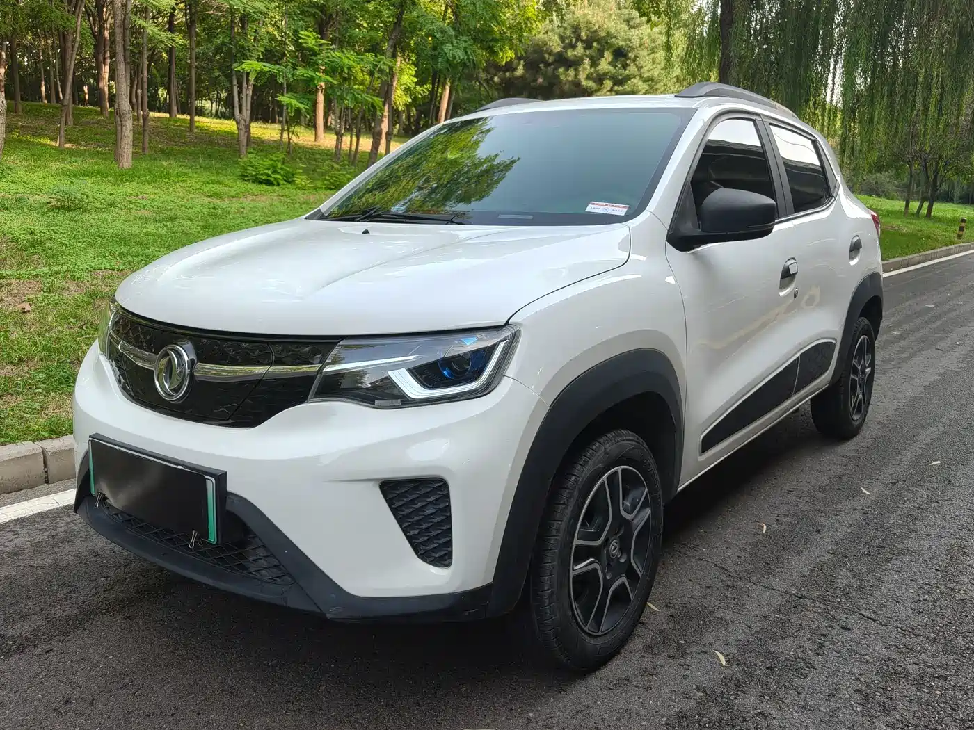 Dongfeng Yipai Dongfeng Nano EX1 2022 2022 PRO Tiger Glow Standard Edition