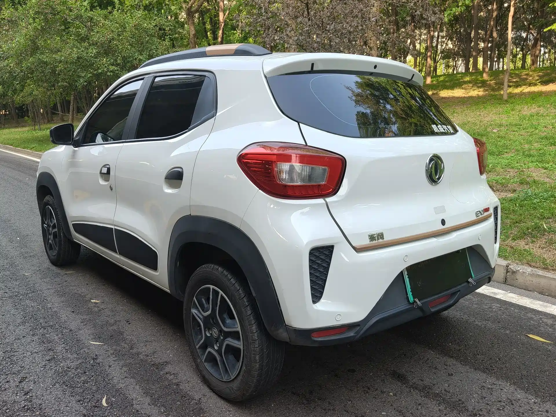 صورة 4 - Dongfeng Yipai Dongfeng Nano EX1