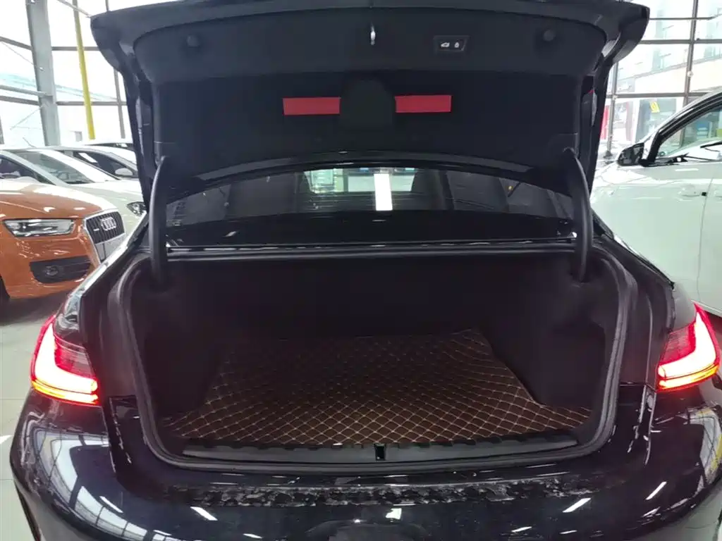 BMW 3 Series 2023 325Li M Sport Black Night Package фото 19
