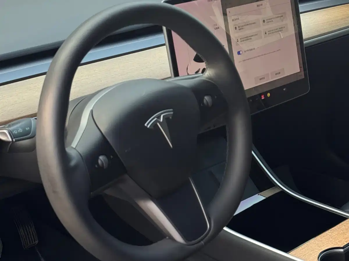 Tesla Model 3 2020 2020 Standard Range Rear-Wheel Drive Upgrade