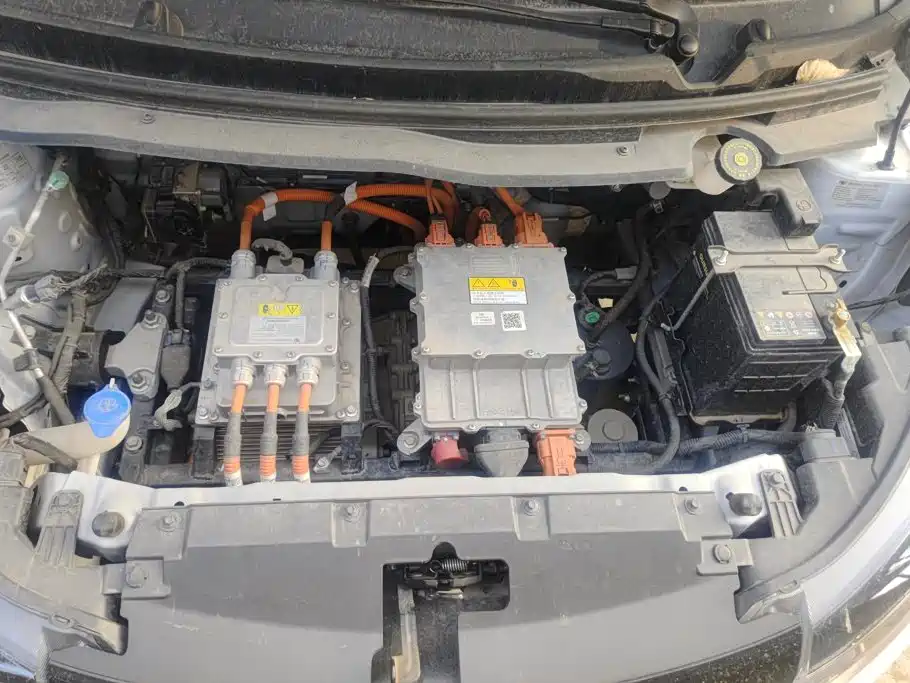 JMCG New Energy Little Kirin 2025 2024 201km Comfort Model