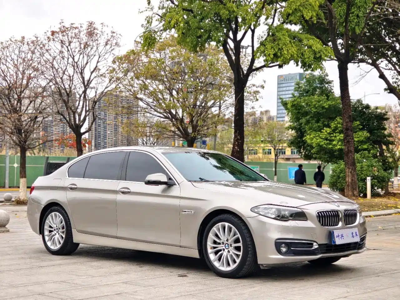 BMW 5 Series 2017 525Li Luxury Design Package фото 3