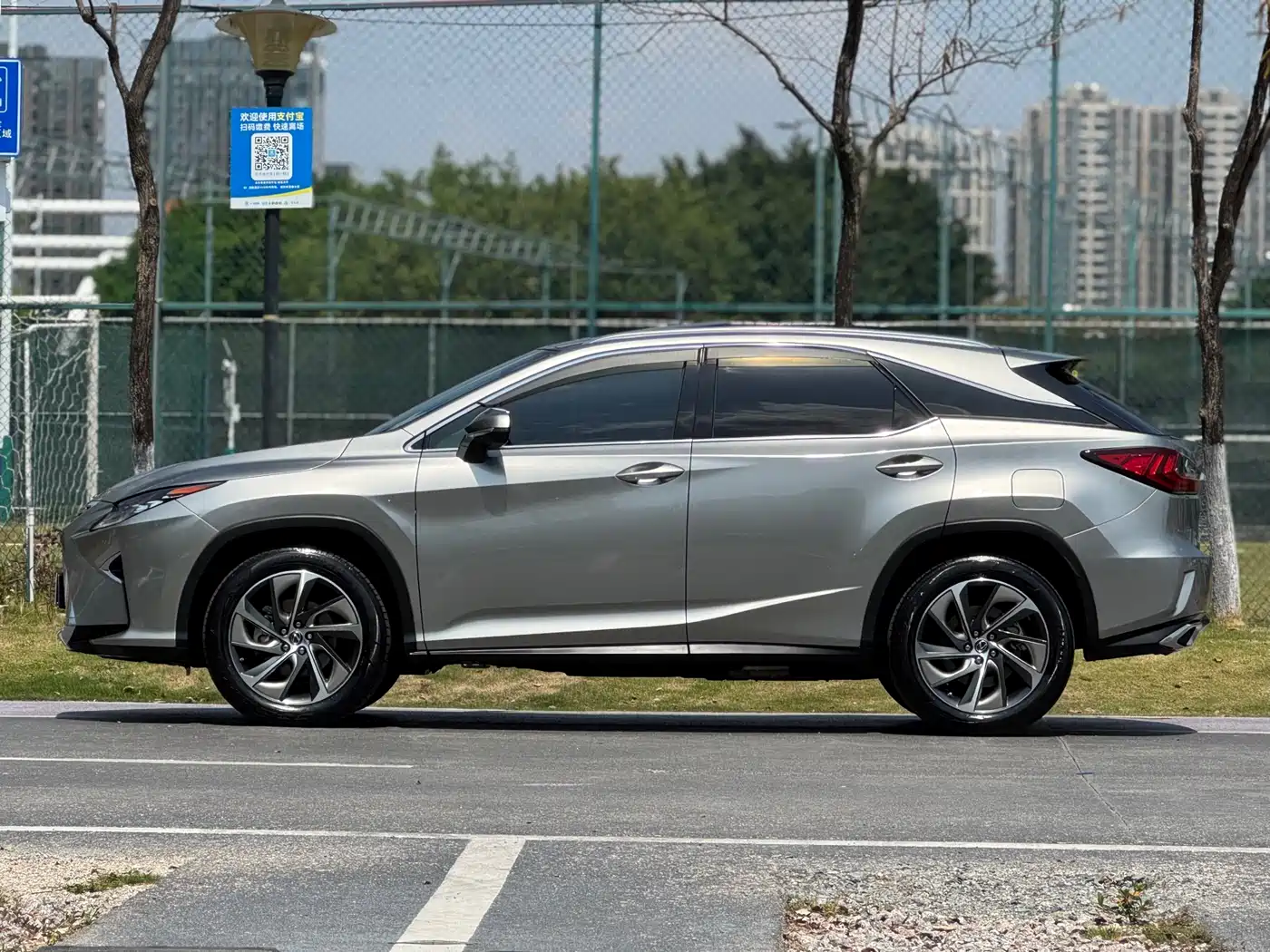Lexus RX 2016 300 4WD Elegance Edition (China V) фото 3