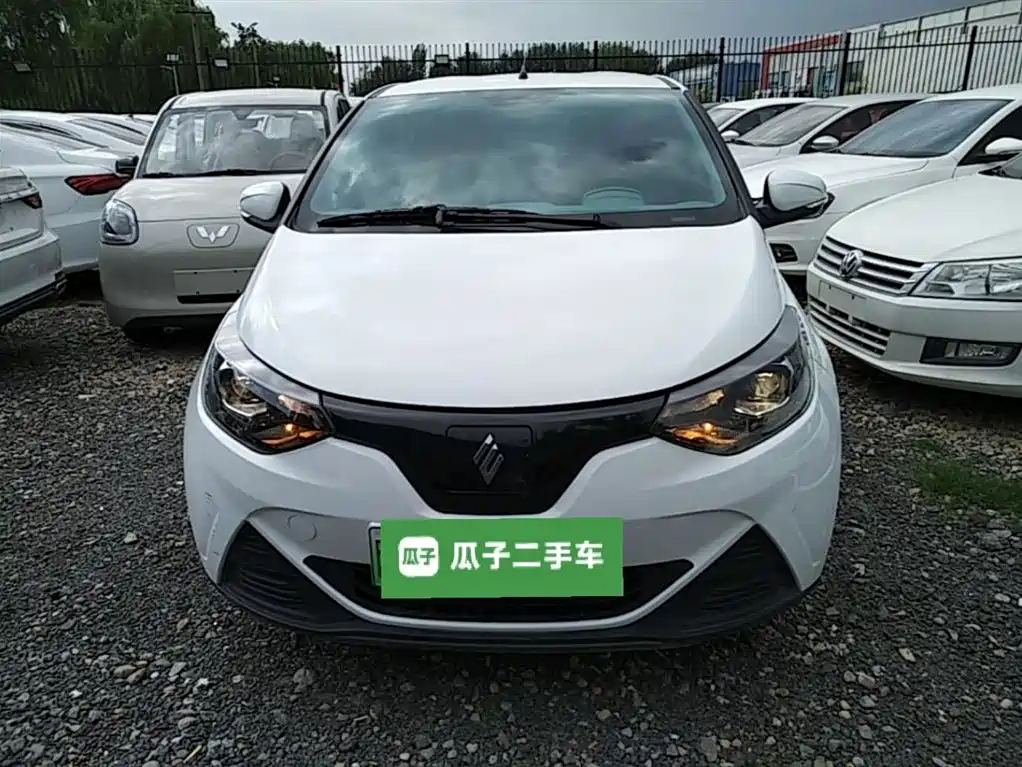 JMCG New Energy Little Kirin 2024 2024 201km Comfort Model