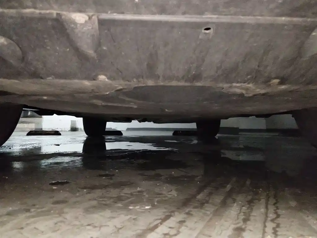 Toyota RAV4 Rongfang 2021 2.0L CVT 2WD Trend PLUS фото 25