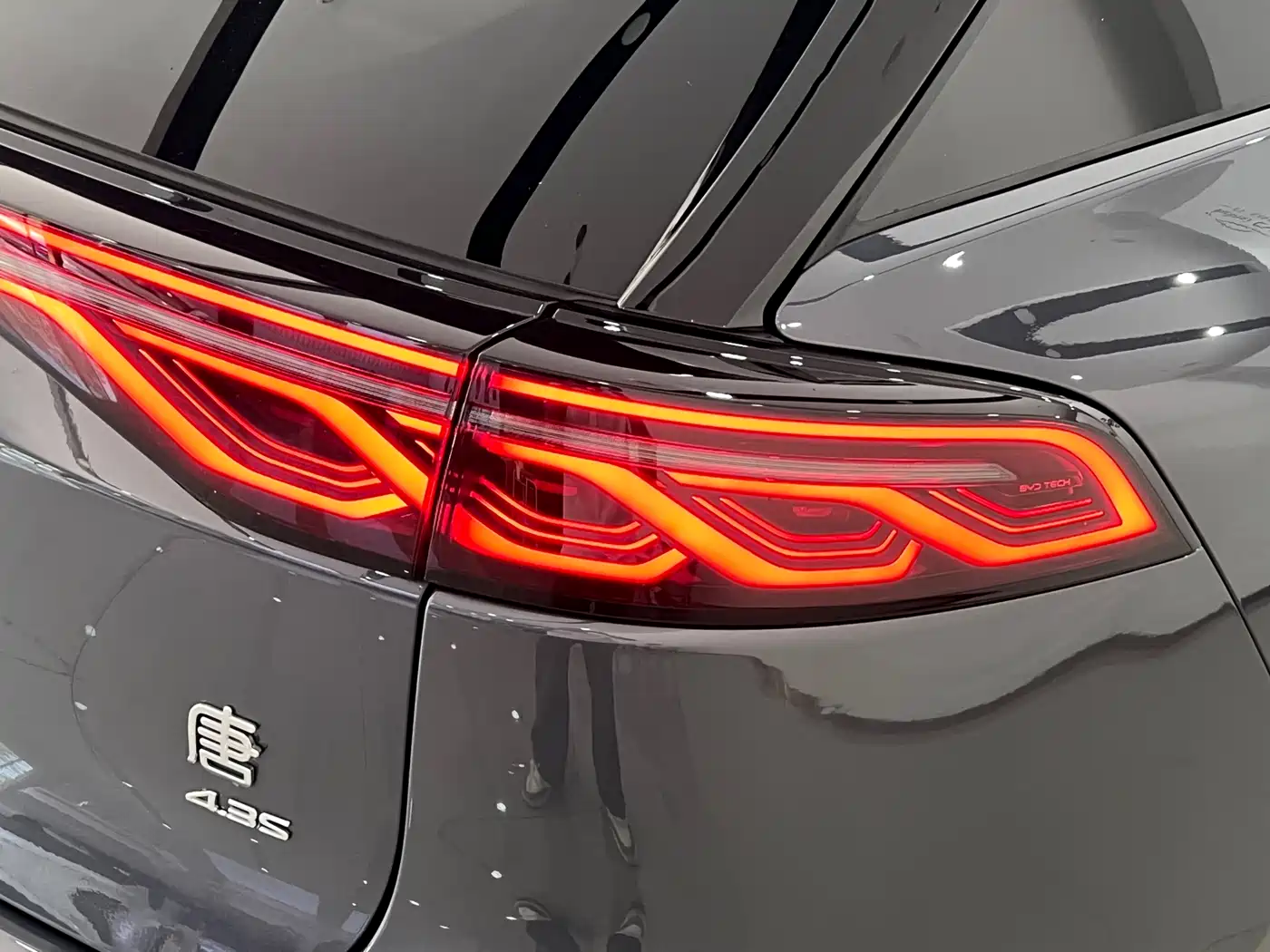 BYD Tang New Energy 2024 DM-p Champion Edition 215KM AWD Flagship фото 6