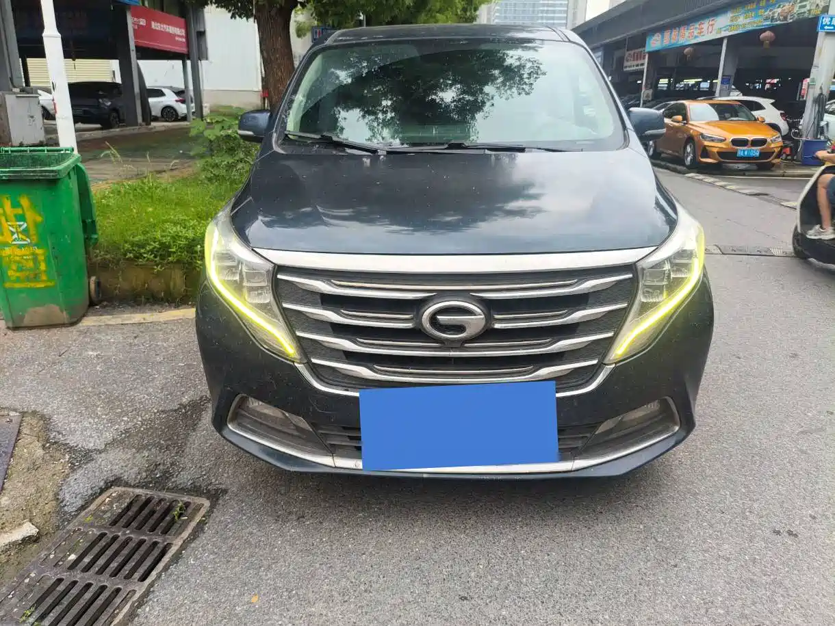 GAC Trumpchi Trumpchi M8 2018 320T Premium Edition фото 2