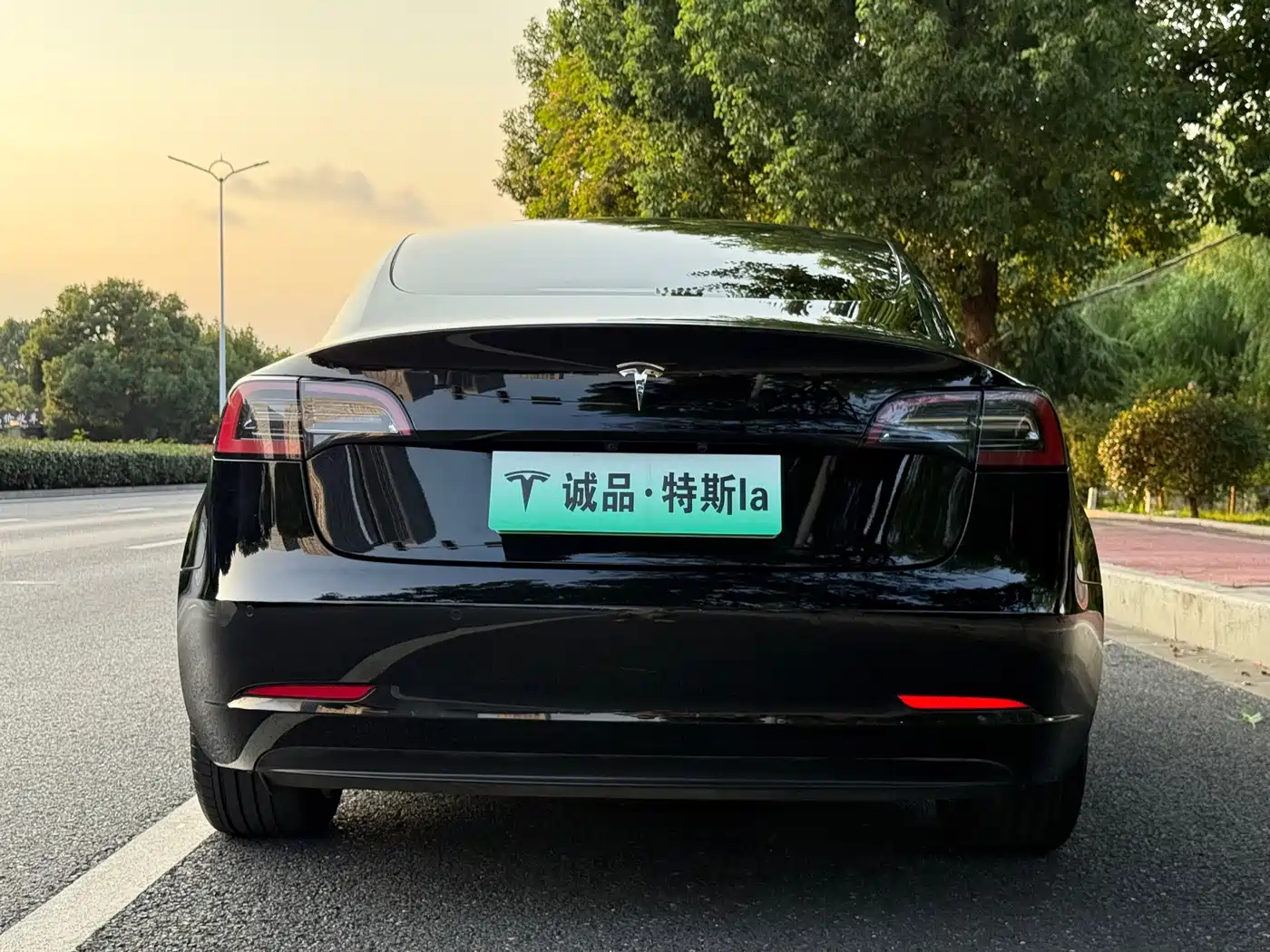 Фото 4 - Tesla Model 3
