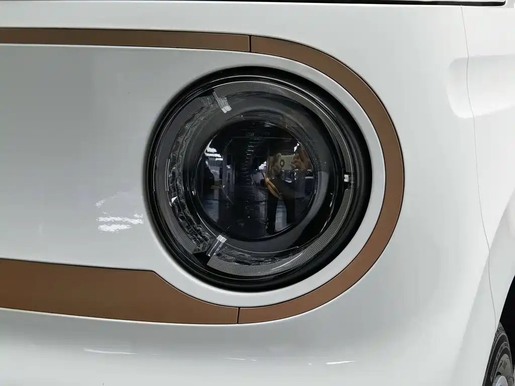 Фото 7 - Geely Galaxy Panda