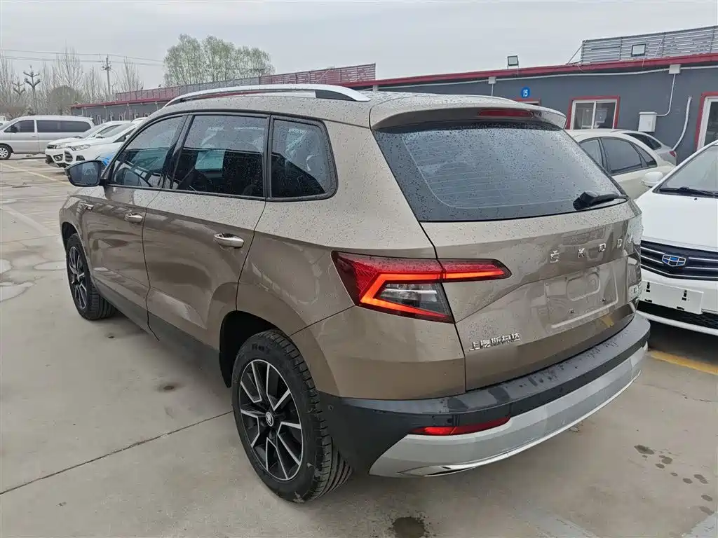 Škoda Karoq 2019 TSI280 Smart Drive Premium Edition China V фото 23