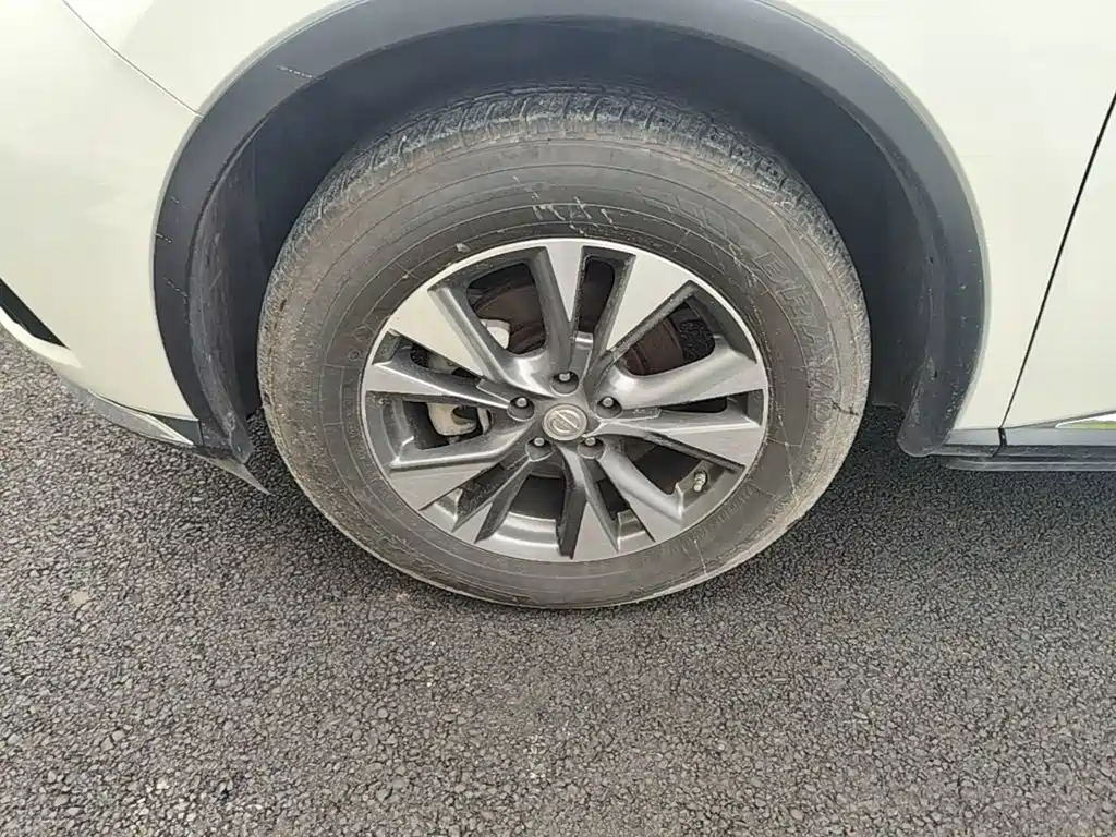 Nissan Murano 2020 2019 2.5L XL 2WD Smart Connect Luxury Edition (China VI)
