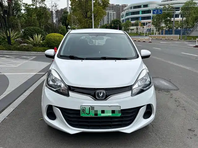  Changan Changan Benben E-Star 2021 National Edition Heartbeat Version LFP