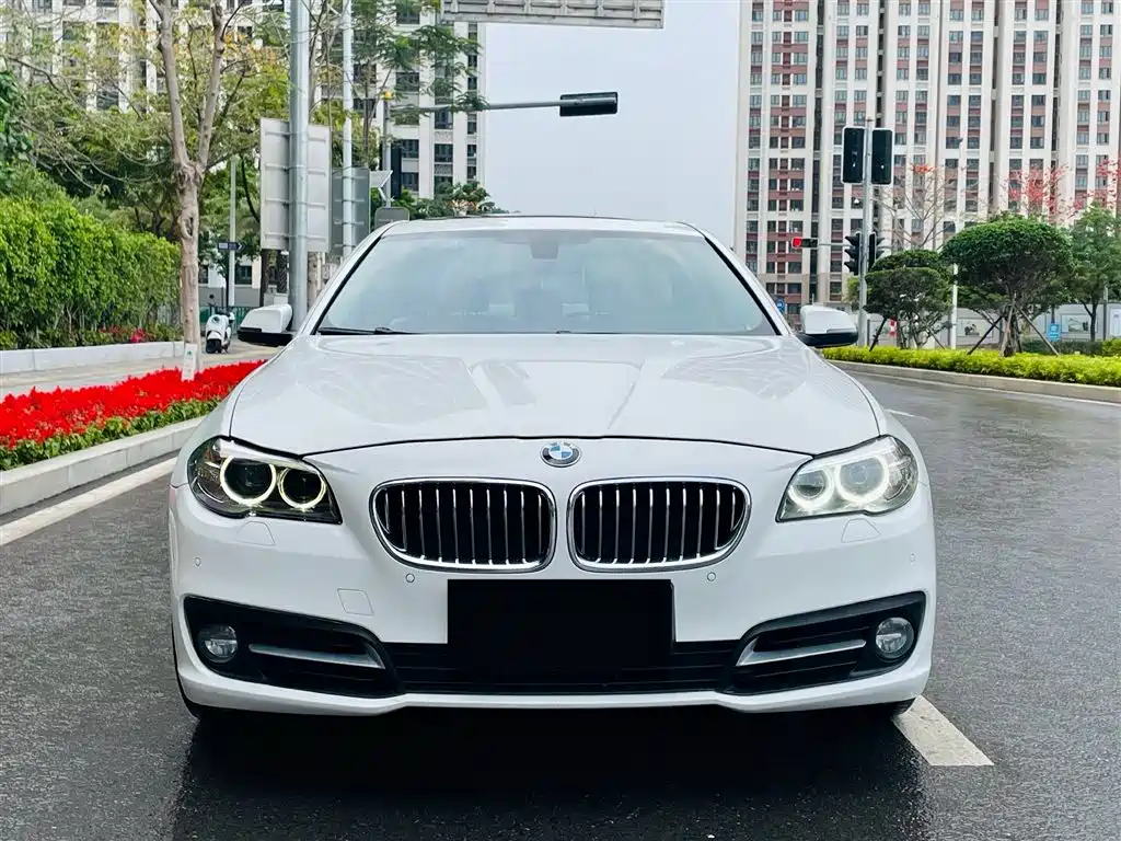 BMW 5 Series 2014 520Li Elegance фото 2