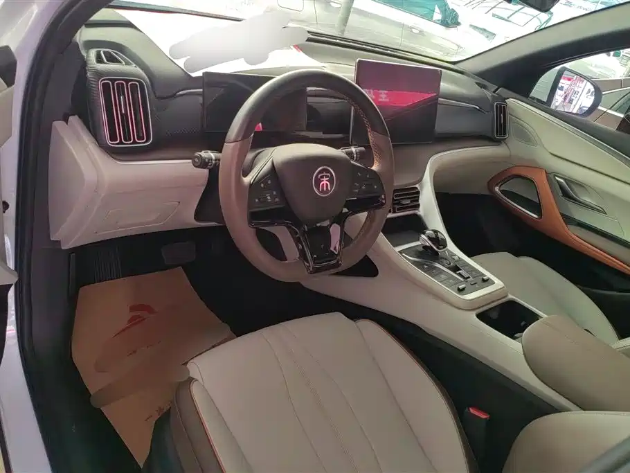 BYD Song Pro New Energy 2022 DM-i 51km Premium фото 12