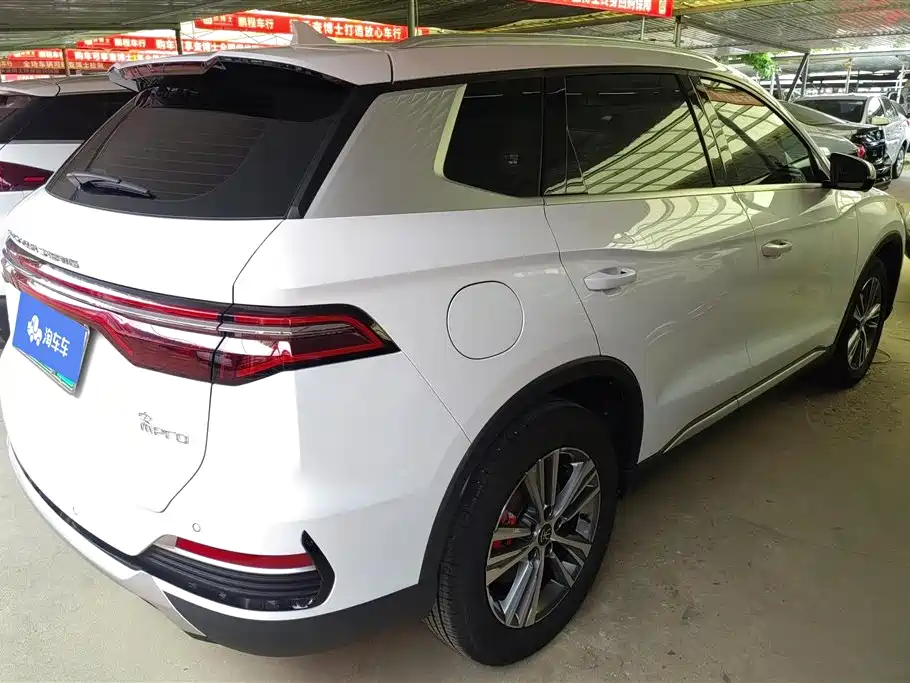 BYD Song Pro New Energy 2022 DM-i 51km Premium фото 3