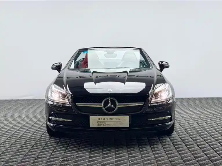 Mercedes-Benz SLK-Class 2011 SLK 200 Fashion фото 2
