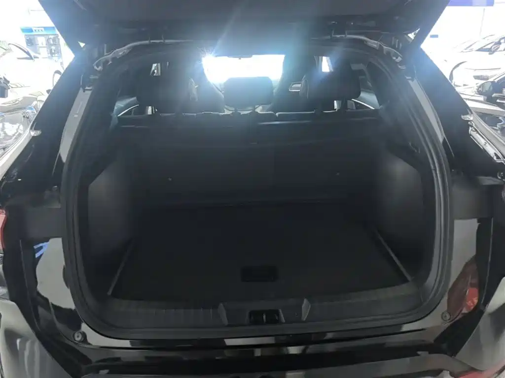 BYD Song PLUS PHEV 2024 Glory Edition DM-i 110km Flagship фото 19