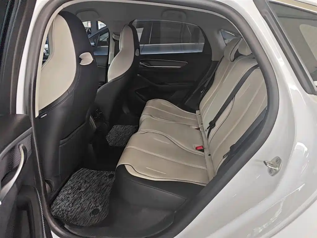 BYD Destroyer 05 2024 Glory Edition DM-i 55KM Luxury фото 17